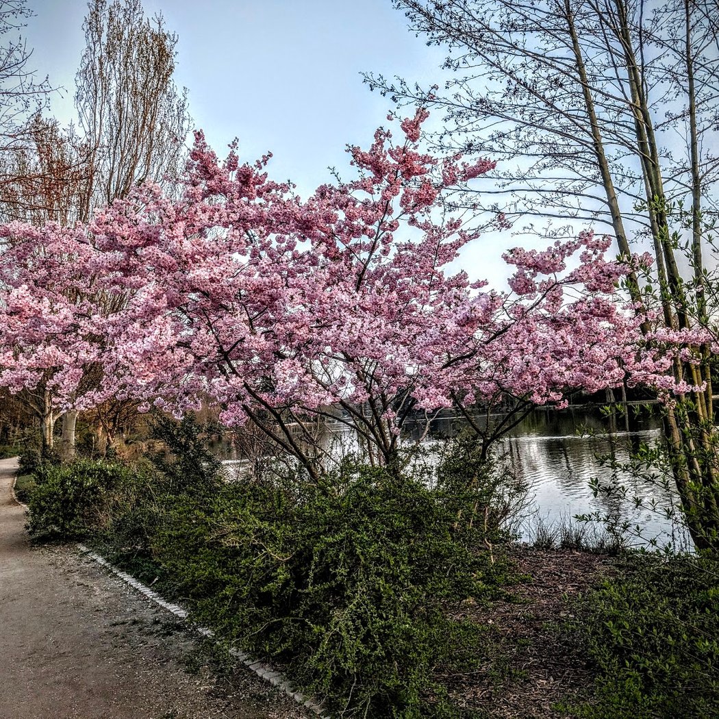 Fontaine des Bois, Parcs et Jardins 1